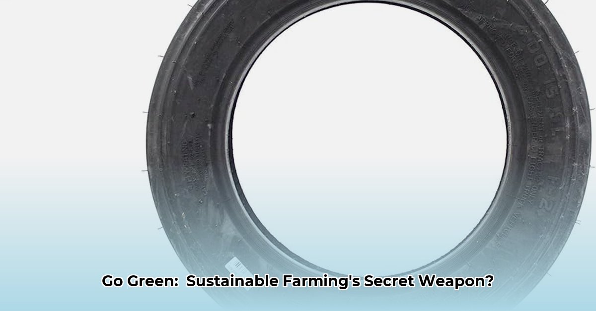 6-0-16-tractor-tires